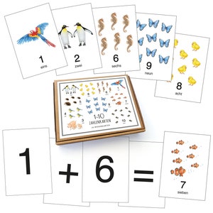 14 ZAHLENKARTEN 1-10 Karten WEIß Rechenkarten Wendekarten Homeschooling Lernkarten Buchstaben Lernspiel Zootiere Waldtiere Tiere • A6 Karten