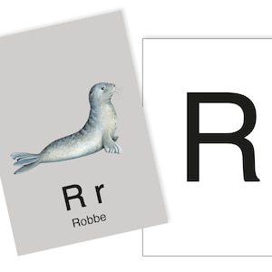 1 Postkarte R wie Robbe Ergänzungskarte zum ABC Karten Set
