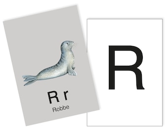 1 Postkarte R wie Robbe Ergänzungskarte zum ABC Karten Set