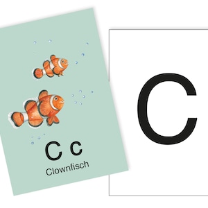 1 Postkarte C wie Clownfisch Ergänzungskarte zum ABC Karten Set