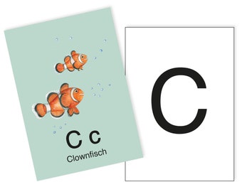 1 Postkarte C wie Clownfisch Ergänzungskarte zum ABC Karten Set