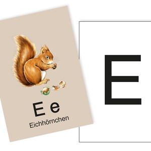 1 Postkarte E wie Eichhörnchen Ergänzungskarte zum ABC Karten Set
