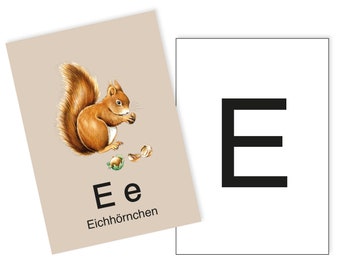 1 Postkarte E wie Eichhörnchen Ergänzungskarte zum ABC Karten Set