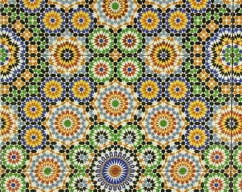 Orientalische Fliesen Temara 50x25 cm bunt Mosaik bunt rechteckig 1 Quadratmeter marokkanische Wandfliesen für schöne Küche Flur FL50588A