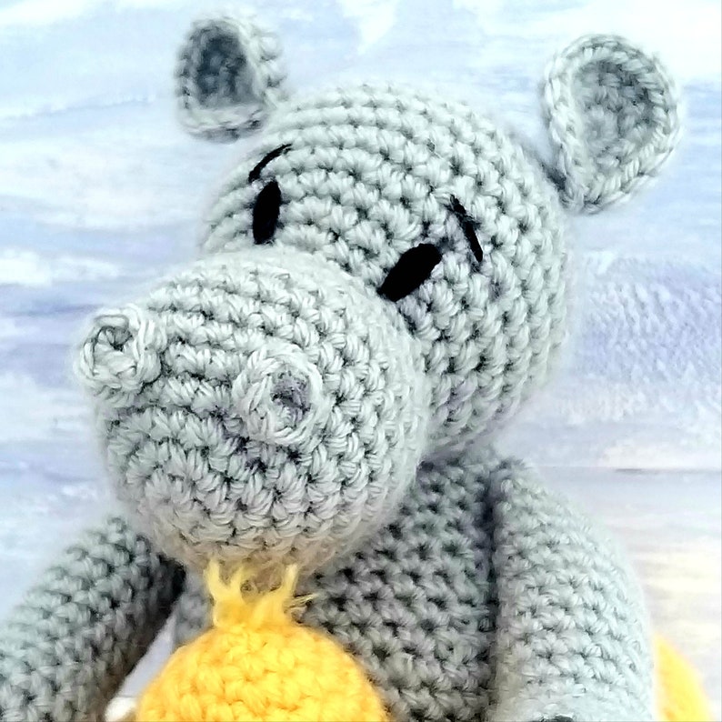 Crochet Kit Henry the Hippo Luxury Crochet Craft Kit Etsy