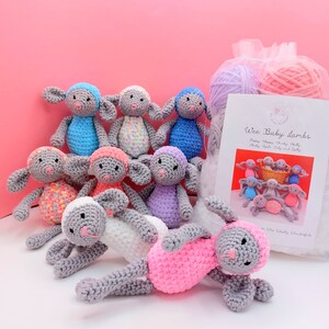 Haakpakket - Haakpakket lammetjes baby - Patroon lammetjes amigurumi