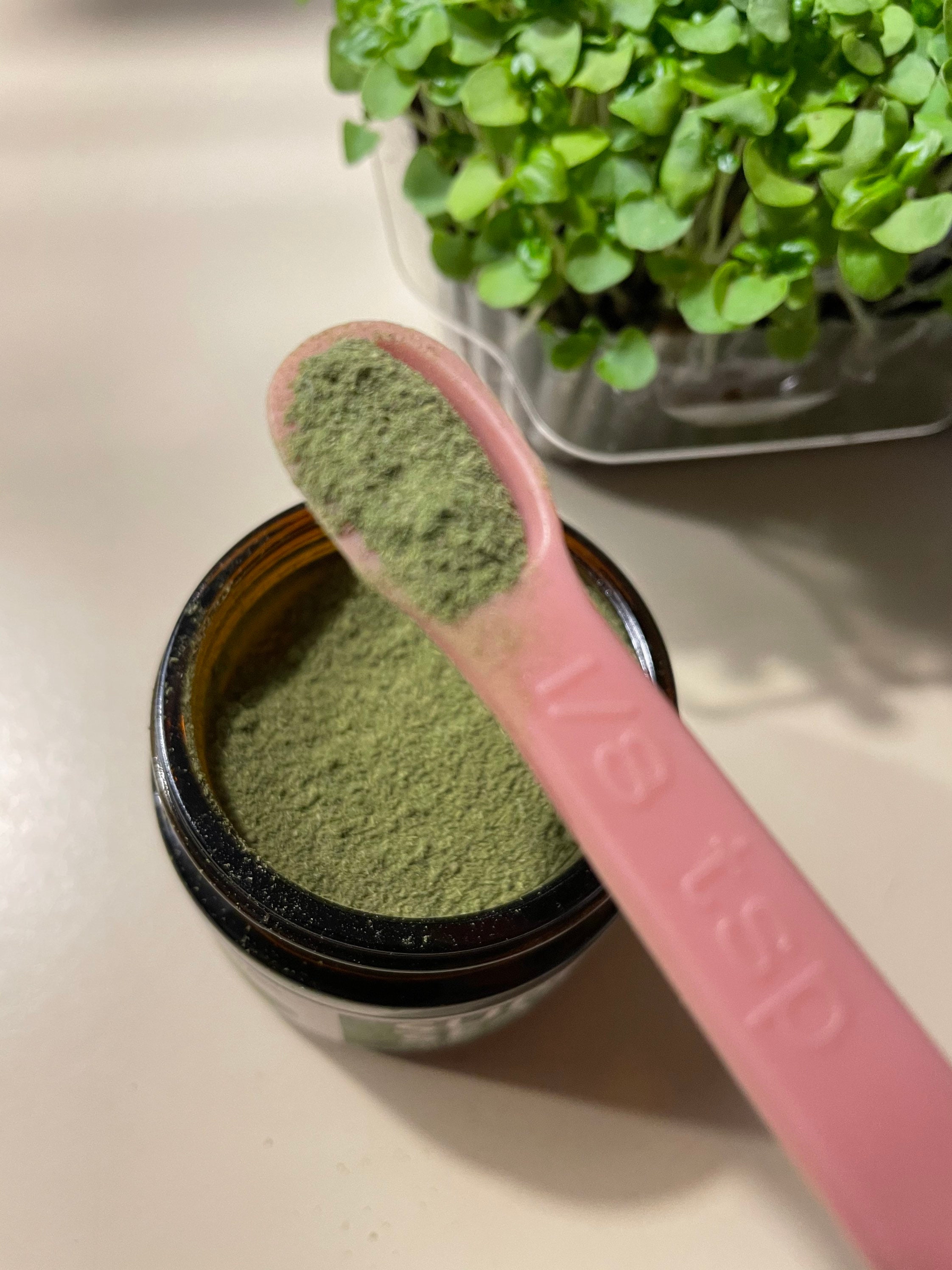 Superfood Greens Powder Greens Powder Made From 100 Dehydrated