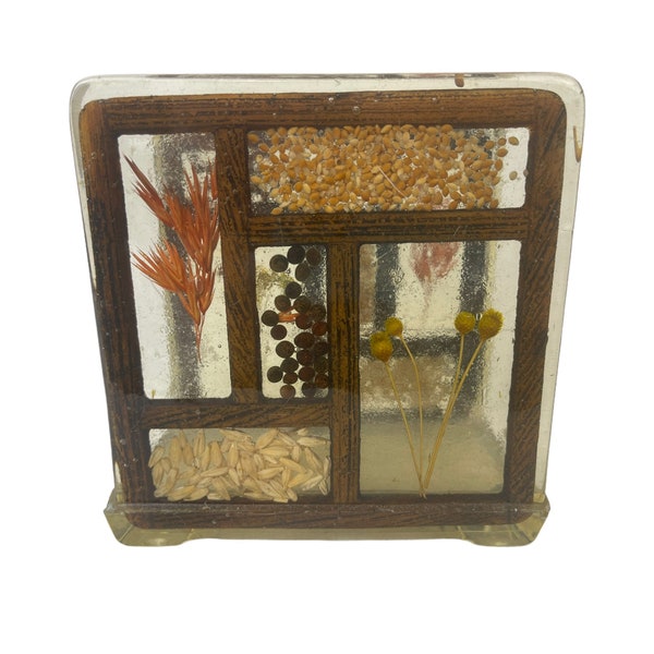 Vintage Colorful Resin Acrylic Botanical Seeds Napkin Holder