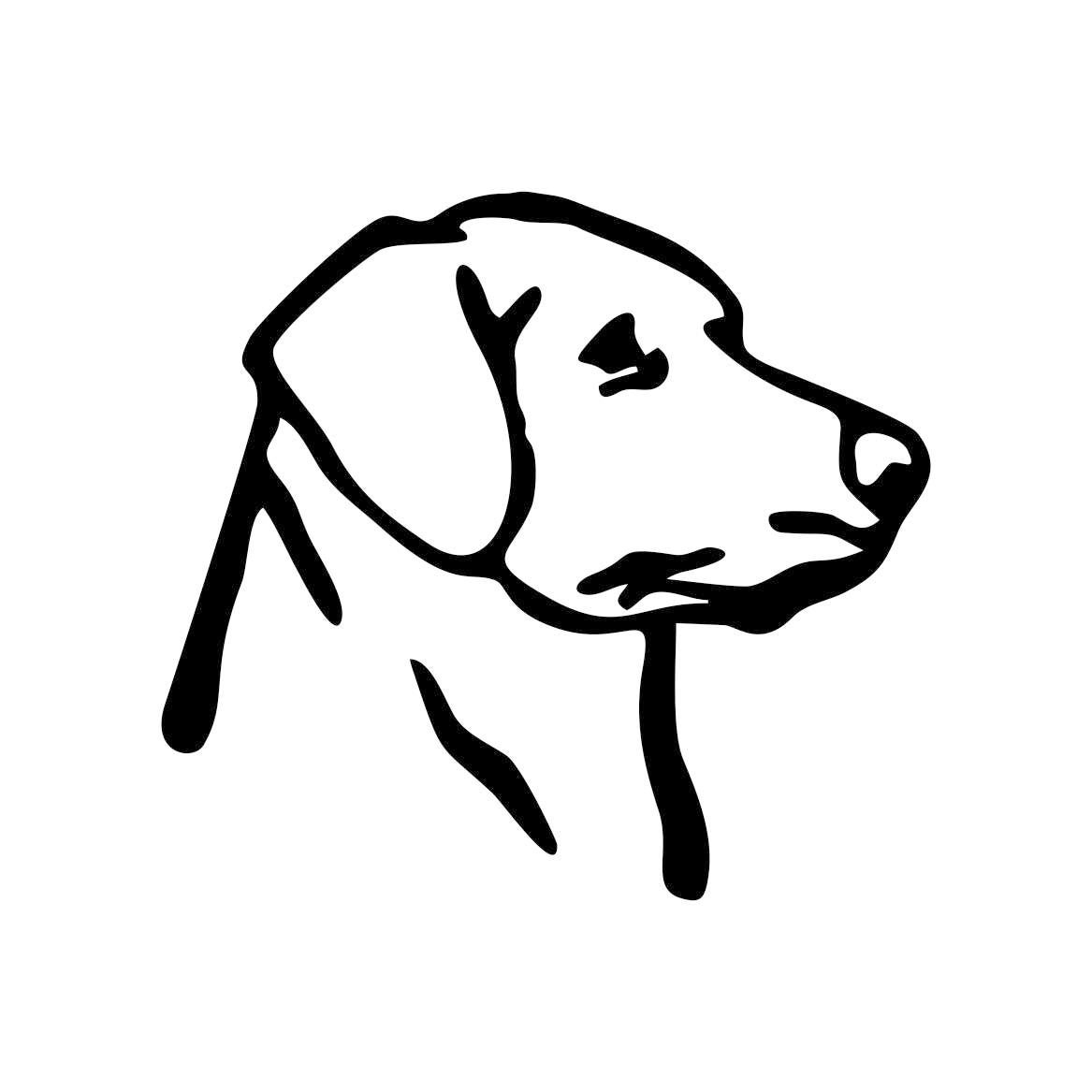 Labrador Retriever dog Graphics SVG Dxf EPS Png Cdr Ai Pdf | Etsy