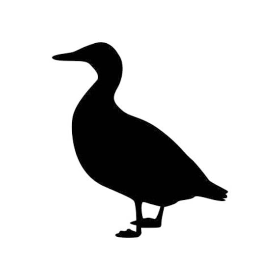 Download Duck Farm Animals Graphics SVG Dxf EPS Png Cdr Ai Pdf ...