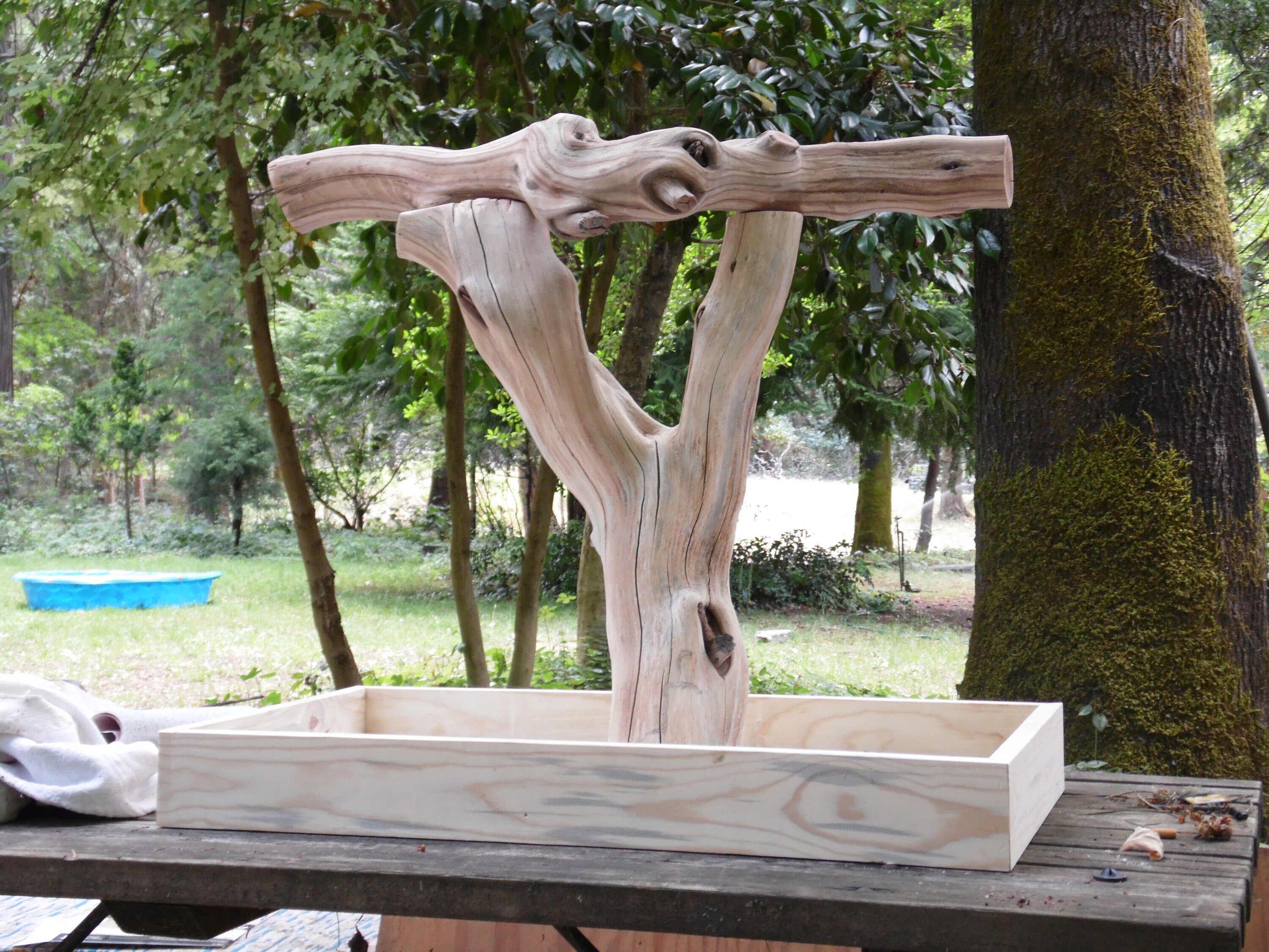 Manzanita large bird perch/stand Etsy