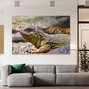 Lienzo con estampado de iguana, pintura de lagarto sobre lienzo, decoración de pared con iguanas, decoración moderna del hogar con iguanas, impresión de imagen de iguana, diseño de pared con iguanas