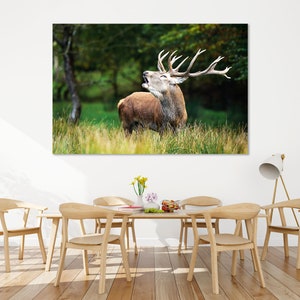 Deer in Forest Art Print on Canvas, Animals Wall Art, Wildlife Print, Horned Deer Popular Art for Home, Deer Pictures Printing on Canvas