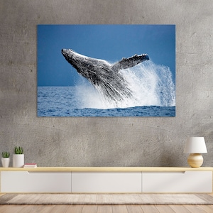 Humpback Whale Art for Wall, Humpback Whale Print on Canvas, Big Fish Painting Canvas, Underwater Life Painting on Canvas