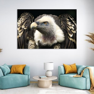 Griffon Vulture Wall Art – Wildlife Photography Print | Majestic Bird Portrait | Nature-Inspired Home & Office Decor
