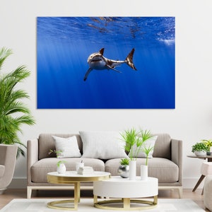 Great White Shark Photography Print – Ocean Wildlife Wall Art | Marine Predator Poster, Underwater Nature Photography Artwork