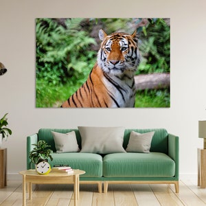 Tiger Picture Print on Canvas, Wild Cat Art for Room, Wild Animals Photo Print, Tiger Gift, Tiger Canvas Print, Tiger Painting on Canvas