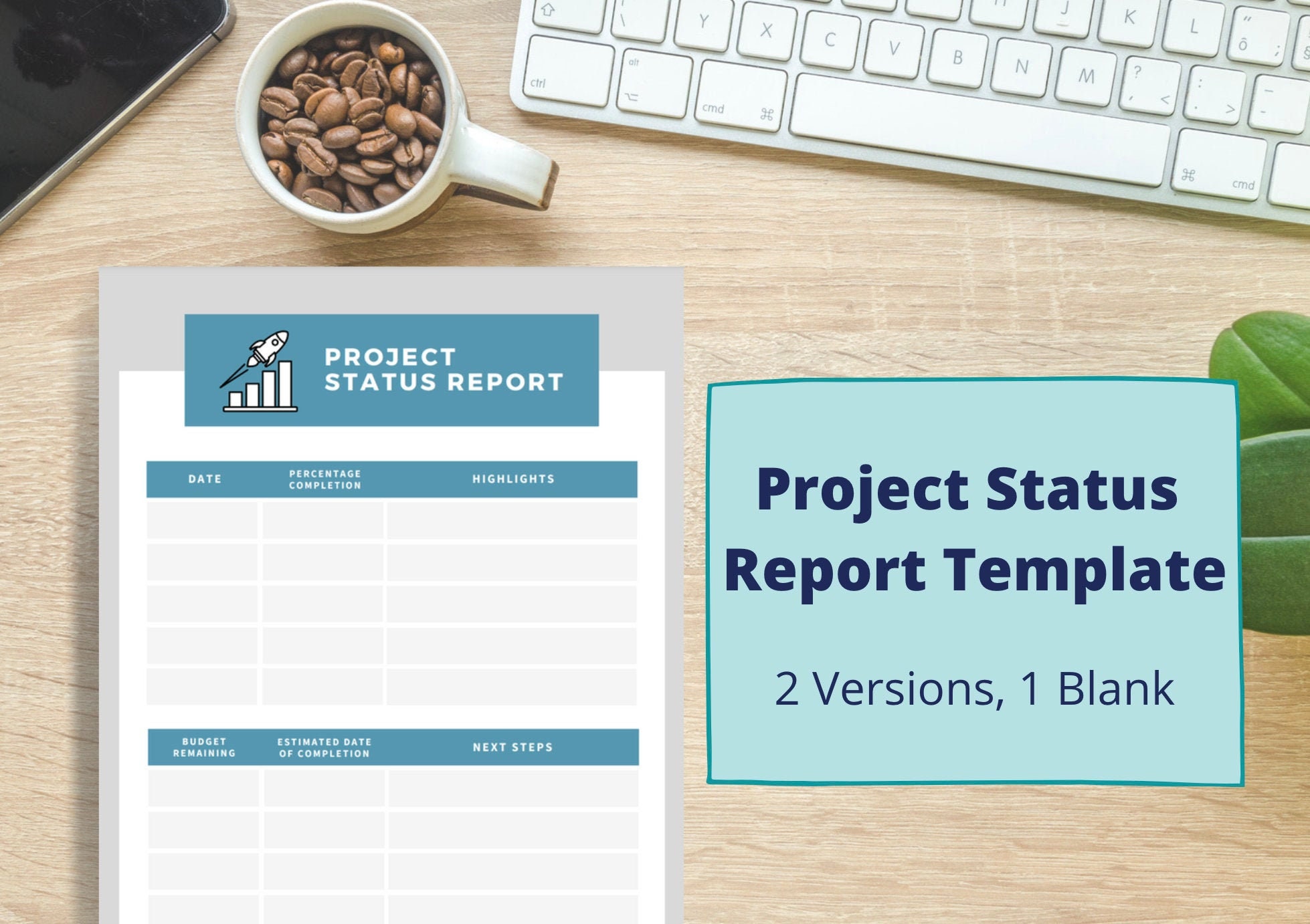 Project Status Report Template Digital Printable Downloadable