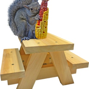 May include: A gray squirrel eating a colorful ear of corn on a small wooden picnic table. The table is made of light-colored wood and has a classic picnic table design, with attached benches. The corn is yellow and red.