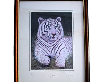 White Tiger Print By Margaret Taçon.  Matted & Framed For Hanging. 43 x 34cm / 17 x 13.5"