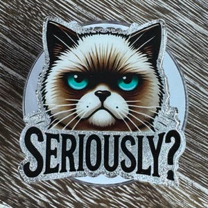 May include: A round, clear badge featuring a grumpy cat face with bright blue eyes and the text "SERIOUSLY?" in black. The text and the cat's outline are bordered with silver glitter.