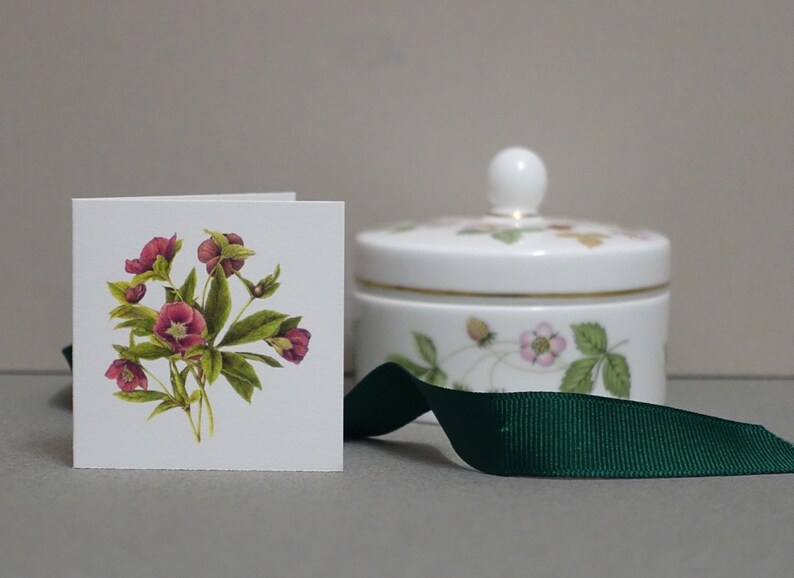 2.25 x 2.25 Set of 8 Botanical Folded Gift CardsTags Hellebore