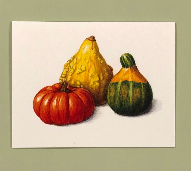 Set of 5 Note Cards, Gourds, 4.25 x 5.5 Card Envelopes image 2