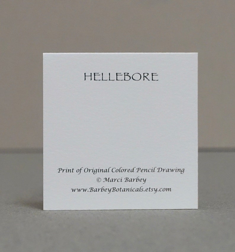 2.25 x 2.25 Set of 8 Botanical Folded Gift CardsTags Hellebore