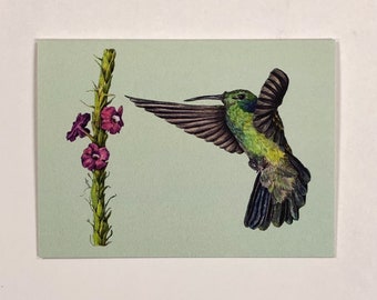 Note Card, Hummingbird (Green Violetear), 4" x 5.5" Card + Matching Envelope