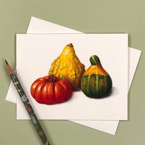 Set of 5 Note Cards, Gourds, 4.25 x 5.5 Card Envelopes image 1