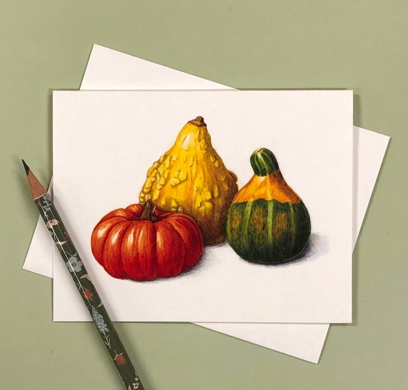 Set of 5 Note Cards, Gourds, 4.25 x 5.5 Card Envelopes image 1