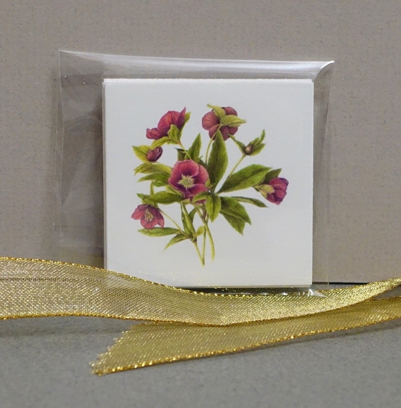 2.25 x 2.25 Set of 8 Botanical Folded Gift CardsTags Hellebore