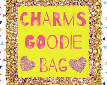 Kawaii charm goodie bag / polymer clay charms / kawaii food charms / kawaii food jewelry / charm goody bag / charm grab bag