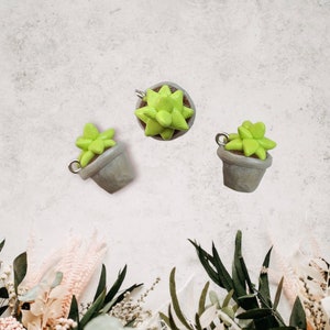Peut inclure: Trois petites plantes succulentes vertes dans des pots gris avec des crochets argentés. Les succulentes ont une forme d'étoile.