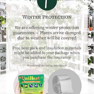 PlantTheStudio Winter Plant Guarantee