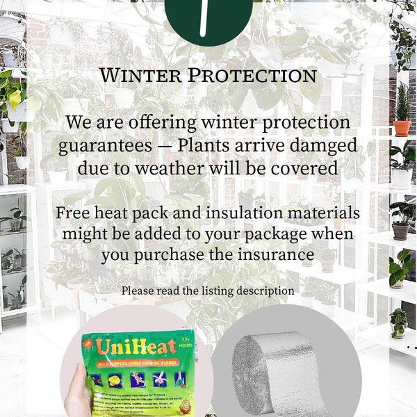 PlantTheStudio Winter Plant Guarantee