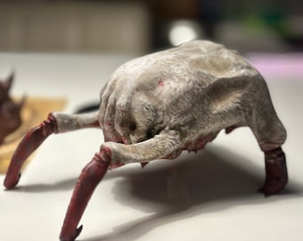 Headcrab | 1:2 scale | HL Inspired