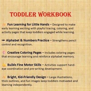 Printable Toddler Workbook, Busy Book, Toddler Worksheets for 2, 3 and 4 year olds, Preschool Curriculum, Activities for Kids, Toddler Gift. image 9