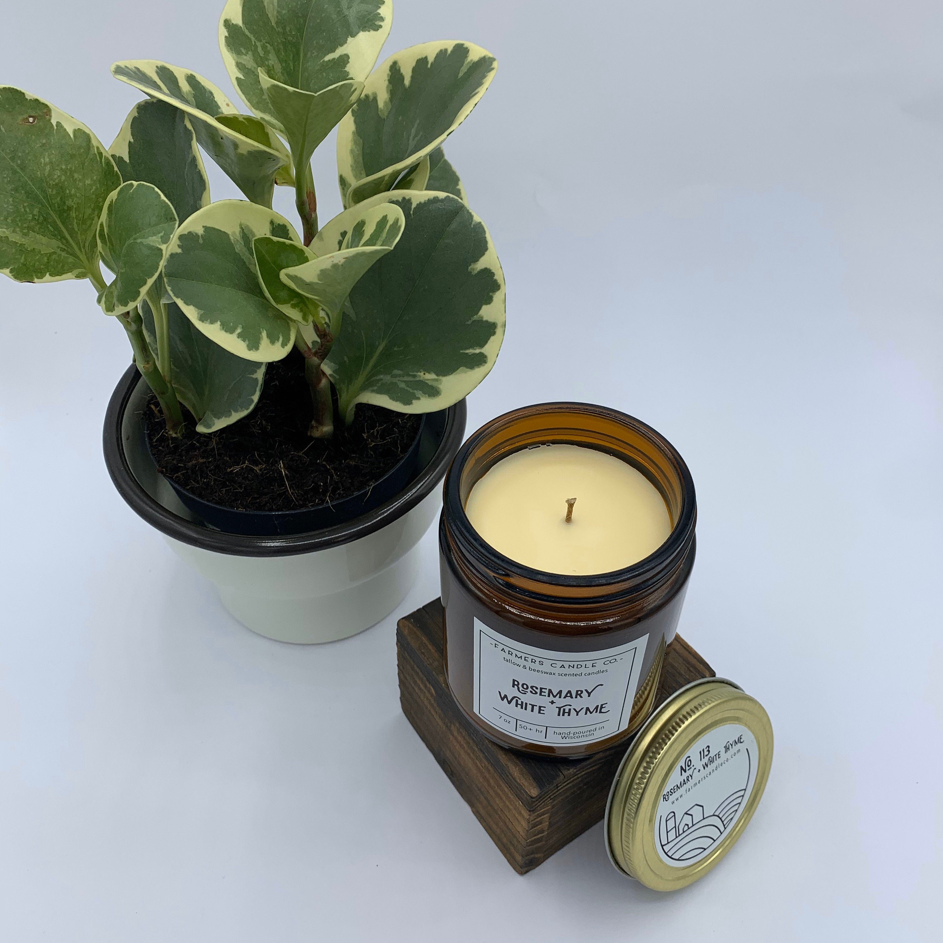 Rosemary White Thyme Tallow Candle Natural Candle Tallow Etsy