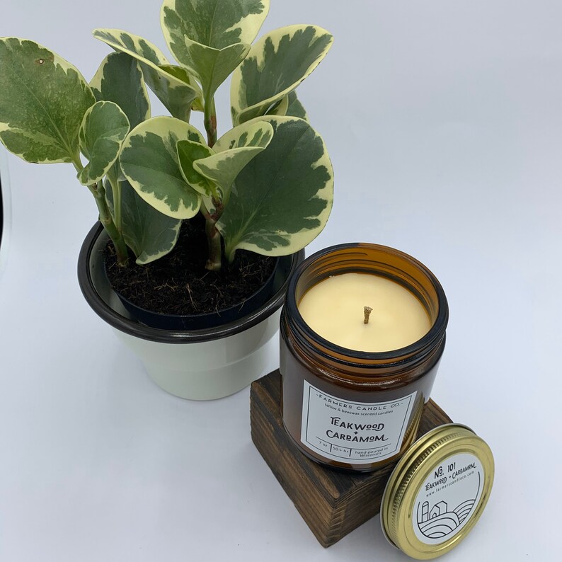 Teakwood Cardamom Scented Candle Natural Candle Tallow Etsy
