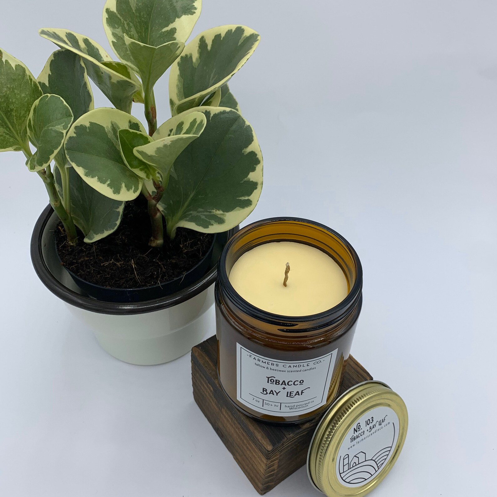 Tobacco Bay Leaf Tallow Candle Natural Candle Natural Etsy