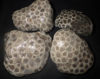 Unpolished Petoskey Stone