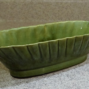 Puede incluir: Un macetero de cerámica verde con un diseño acanalado y un borde festoneado. El macetero tiene forma ovalada y un acabado brillante.