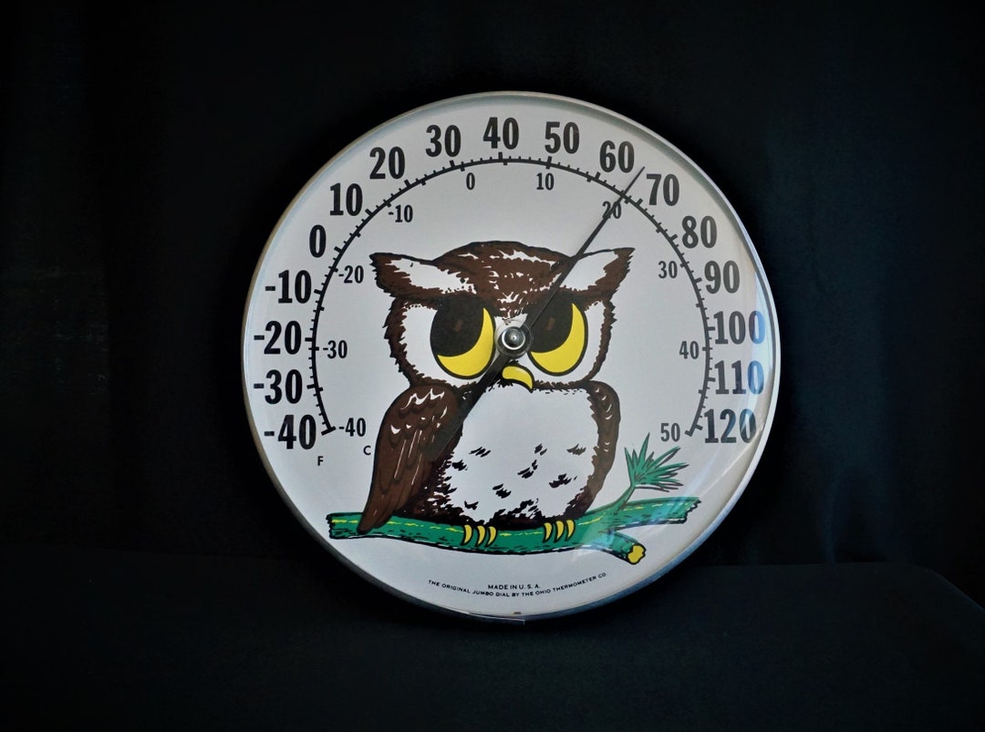 Vtg the Original Jumbo Dial Thermometer, Owl, the Ohio Thermometer Co