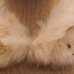 May include: Cream-colored fur collar with a soft, fluffy texture. The collar is designed to be worn around the neck and has a symmetrical shape. The fur appears to be in good condition, with no visible damage. The background is a neutral tan color.