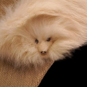 May include: A close-up of a plush, cream-colored animal head with small, dark eyes and a tiny nose. The fur is soft and fluffy, with a slightly darker shade around the eyes. The animal is resting on a tan fabric.