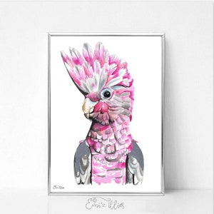 Galah, Watercolour Galah, Home Decor, Watercolour Print, Galah Print, Bird Print, Modern Painting, Australian native bird, Cockatoo print
