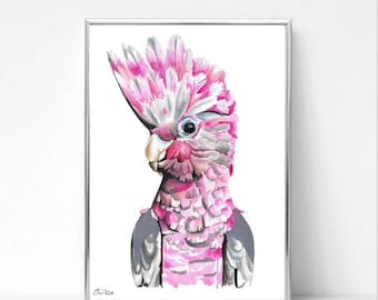 May include: A watercolor painting of a pink and gray cockatoo with a white crest. The bird is looking to the left of the image. The painting is framed in a silver frame.