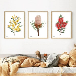 Impresión de arte botánico australiano Flores nativas Cepillo de botella Acacia Impresión de Banksia Impresión de arte de flora australiana Juego de 3 Flores nativas australianas