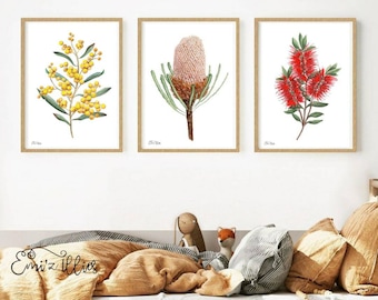 Australischer botanischer Art-Druck Ureinwohner Blumen Flaschenbürste Wattle Banksia-Druck australische Flora Art-Druck 3er-Set Australian Native Flower